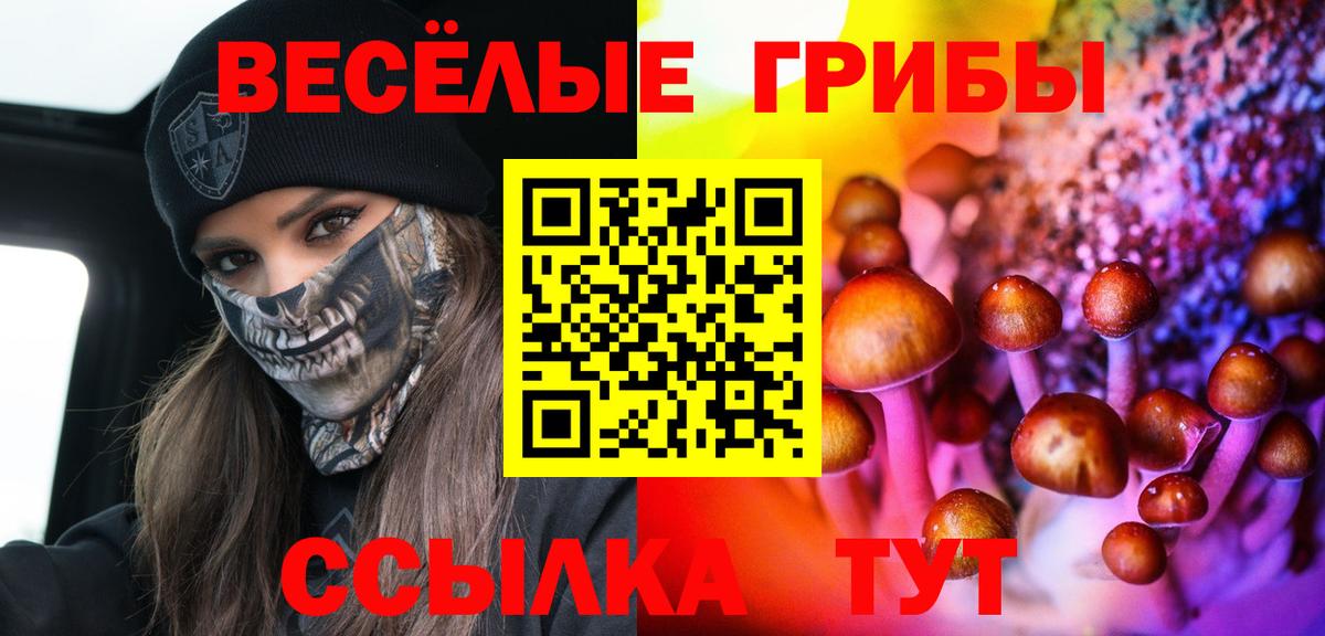 Ковров  Галлюциногенные грибы мицелий  Галлюциногенные грибы мухоморы  Вход с VPN 